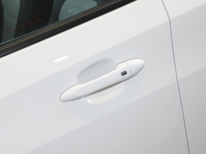 2022�����ư� ���{�T����