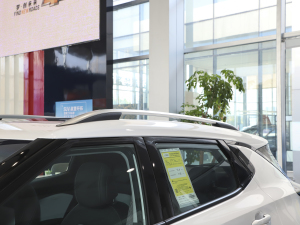 2022�����ư� �������^