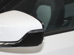 2022�����ư� �������^