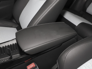 2022�����ư� ���������