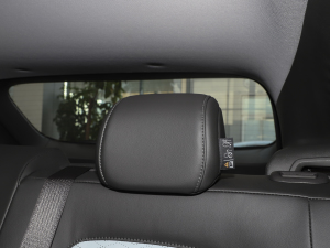 2022�����ư� ���g����