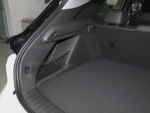 2022�����ư� ���g����