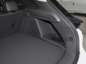 2022�����ư� ���g����