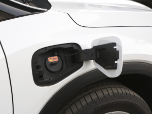 2022�������� Plus �������^