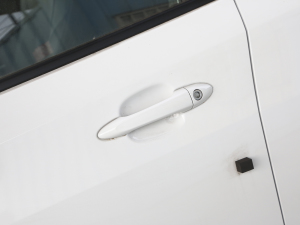 2022�������� Plus ���{�T����