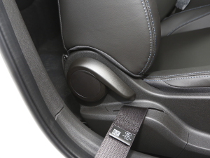 2022�������� Plus ���g����