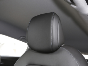 2022�������� Plus ���g����