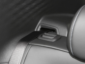 2022�������� Plus ���g����