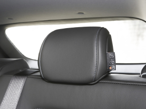 2022�������� Plus ���g����