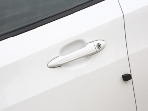 2022�������� ���{�T����