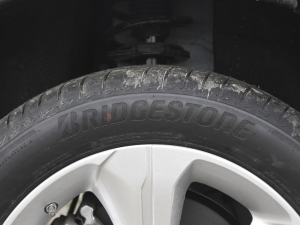 2022�������� ݆̥Ʒ��