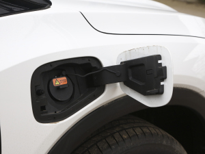 2022�������� �������^