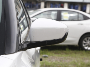 2022�������� �������^