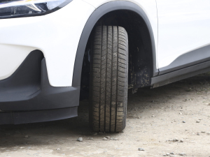 2022�������� �������^