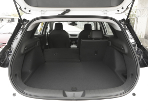 2022�������� ���g����