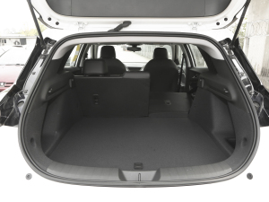 2022�������� ���g����