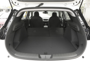 2022�������� ���g����