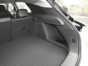 2022�������� ���g����