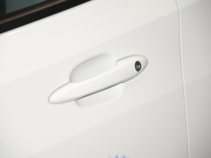 2022���ǺӰ� ���{�T����