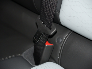 2022���ǺӰ� ���g����