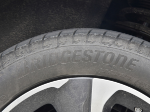 2022������� ݆̥Ʒ��