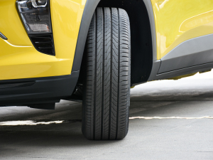 20221.5T CVT RSâ (ji)^