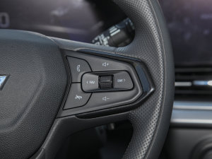 20221.5T CVT {(dio)(ji)