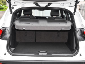 20221.5T CVT RS䳱 g