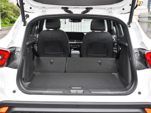 20221.5T CVT RS䳱 g