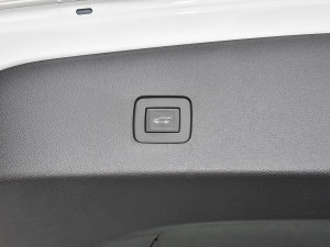 20221.5T CVT RS䳱 g