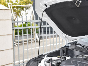2022款1.5T CVT RS蜂潮版 其它