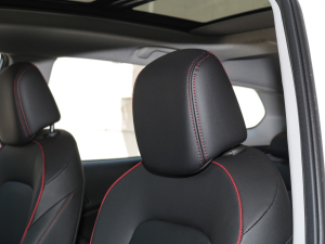 2022RS 1.5T CVTPro g