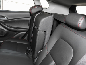 2022RS 1.5T CVTPro g