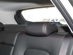 2022RS 1.5T CVTPro g