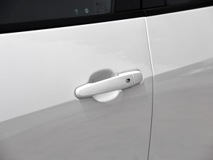 2023p 650T RS Twin-Clutch ҹ {T