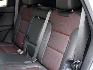 2023p 650T RS Twin-Clutch ҹ g