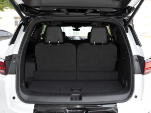 2023p 650T RS Twin-Clutch ҹ g