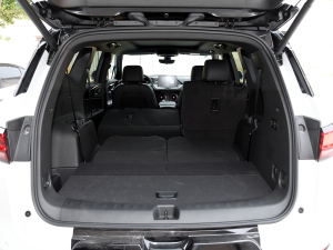 2023p 650T RS Twin-Clutch ҹ g