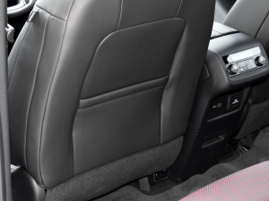 2023p 650T RS Twin-Clutch ҹ п؅^