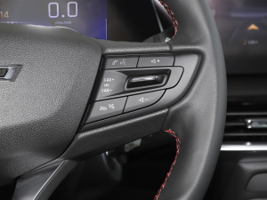 2023RS 1.5T CVT п؅^