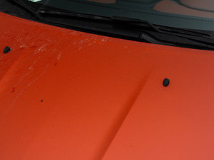 20141.6L Ԅ(dng)L(fng)а (x)(ji)^