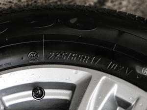 2018535T ԄӃ(q)S ݆̥ߴ