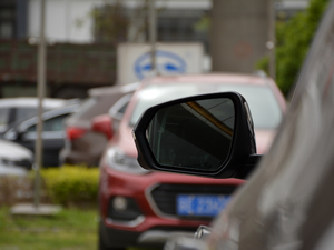 2018RS 550T 9(q) (x)(ji)^