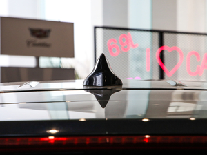 202028T (q)A (x)(ji)^