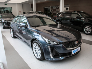 202028T r(sh)\(yn)(dng) w^