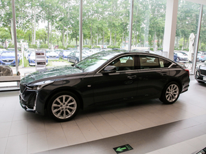 202028T r(sh)\(yn)(dng) (c)