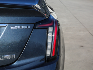 202028T I(lng)\(yn)(dng) β