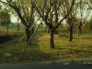 202028T K\(yn)(dng) п؅^(q)