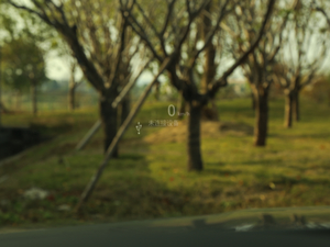 202028T K\(yn)(dng) п؅^(q)