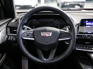 2020��28T ��Ӣ�� �п؅^(q��)